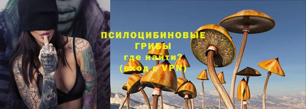 гидра Алексин