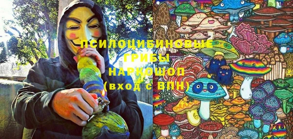 гидра Алексин