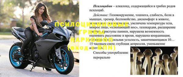 герыч Алзамай