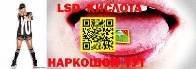 прущие крисы Изобильный