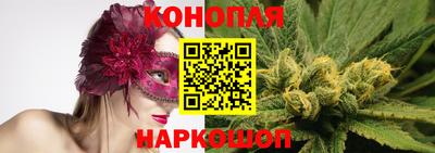 прущие крисы Изобильный