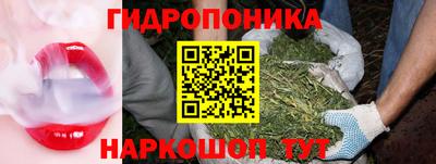 прущие крисы Изобильный