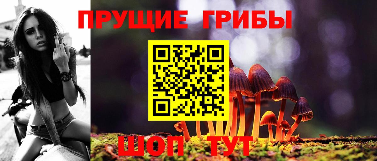 Псилоцибиновые грибы GOLDEN TEACHER Уссурийск